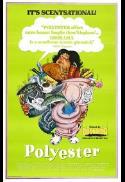 Poster for Polyester